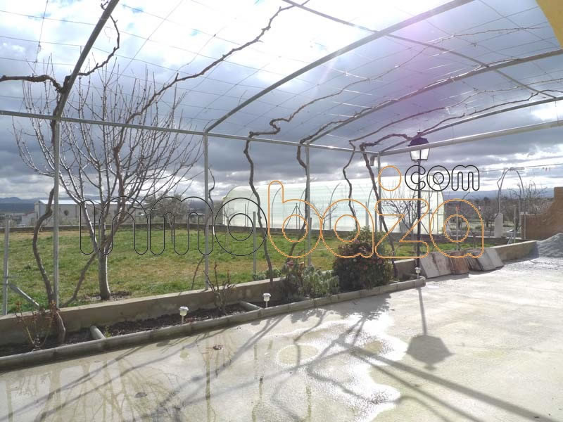 14619625934223P1040889