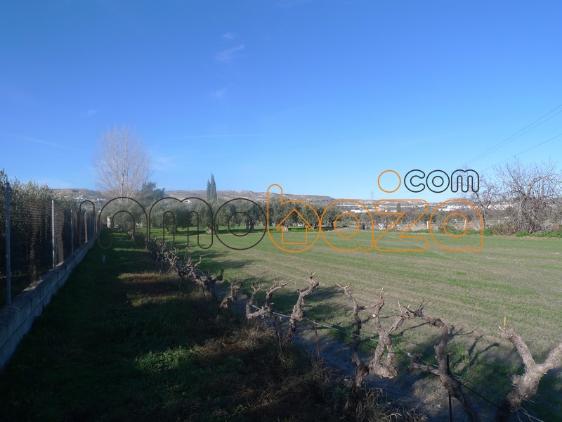 94181577187575P1190490Copiar